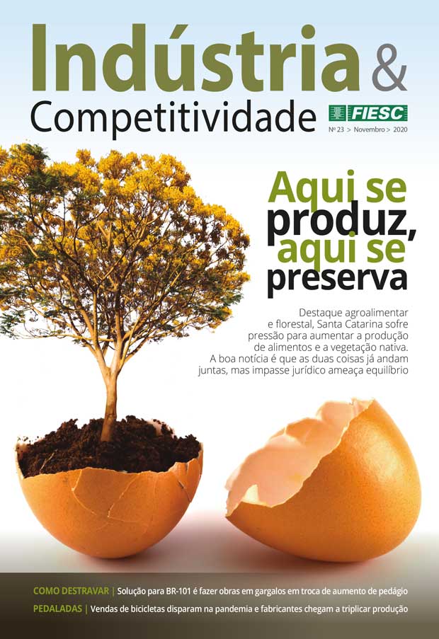 Revista Indústria e Competitividade 23