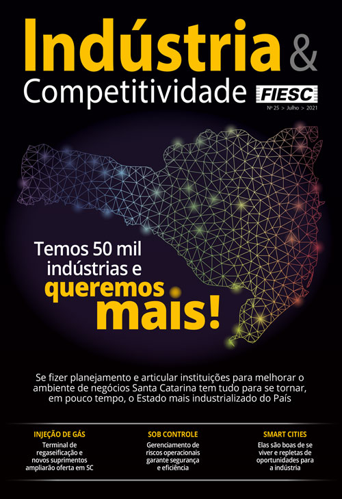 Revista Indústria e Competitividade 25