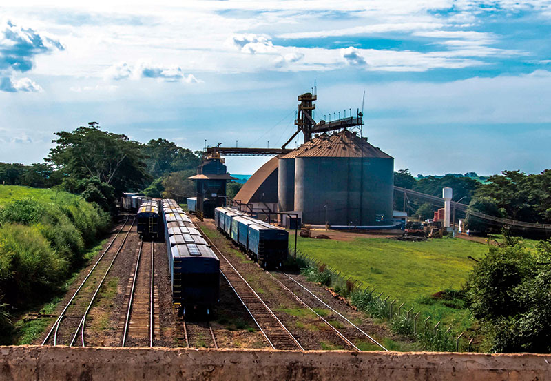 Alf Ribeiro Shutterstock