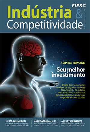 Revista indústria e competitividade 11