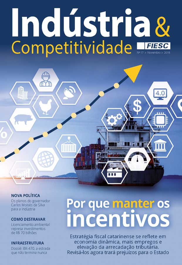 Revista indústria e competitividade 17