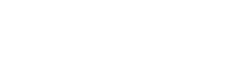 Câmara de Transporte e Logística