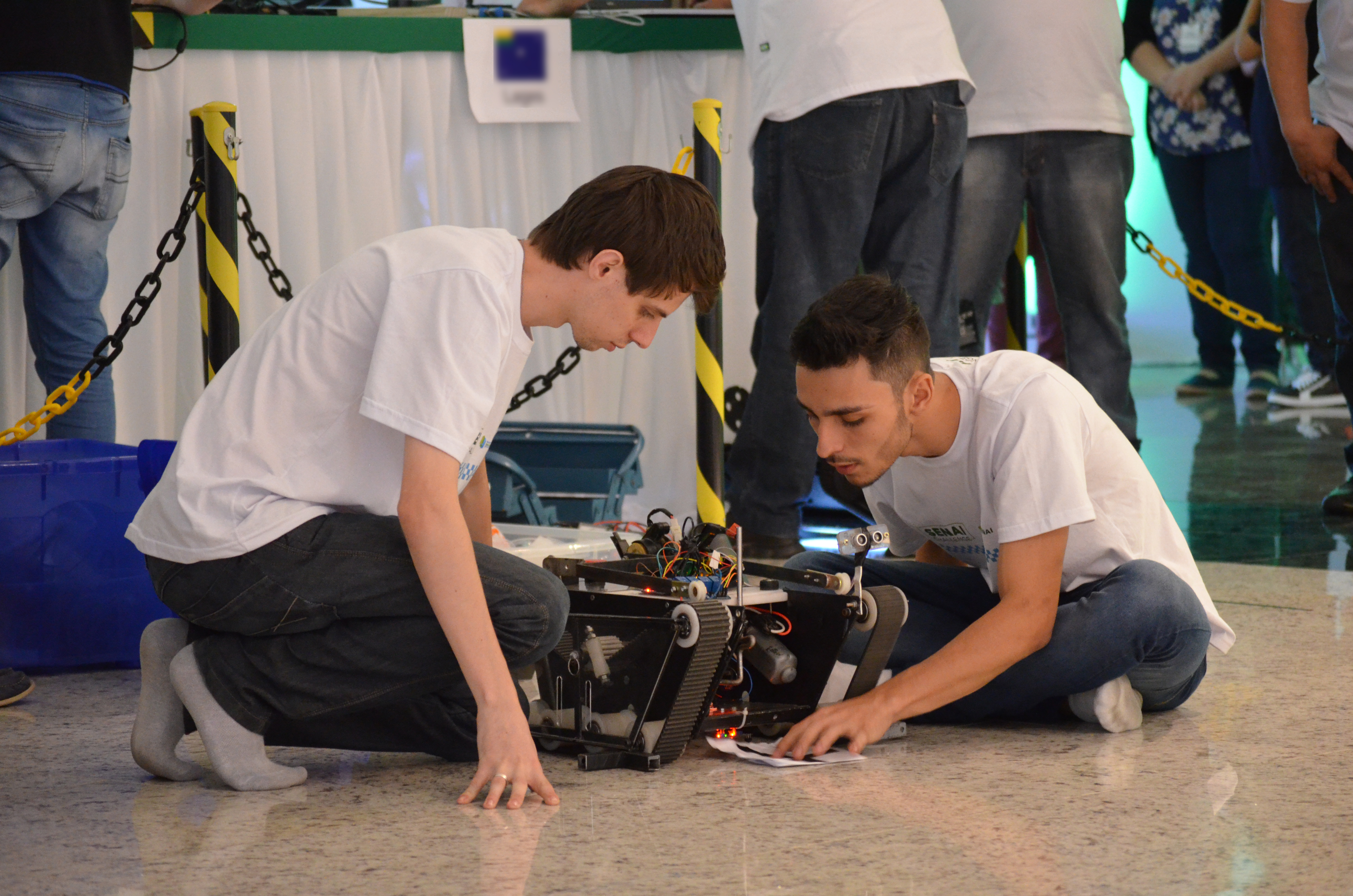 Imagem 3377 no node 5490