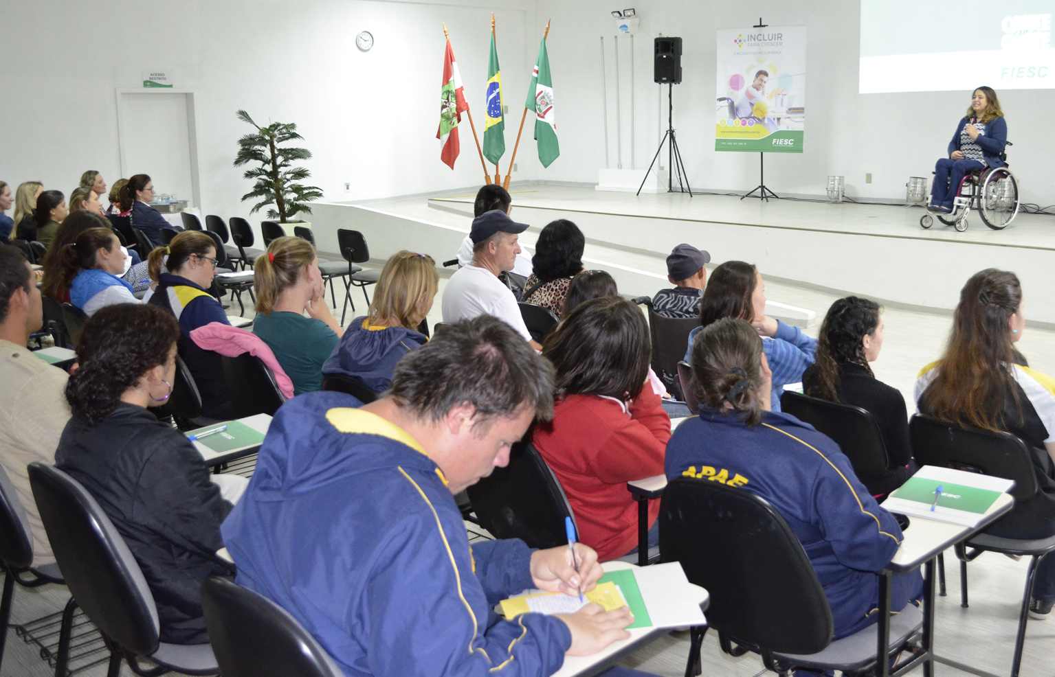 Imagem 3207 no node 5312