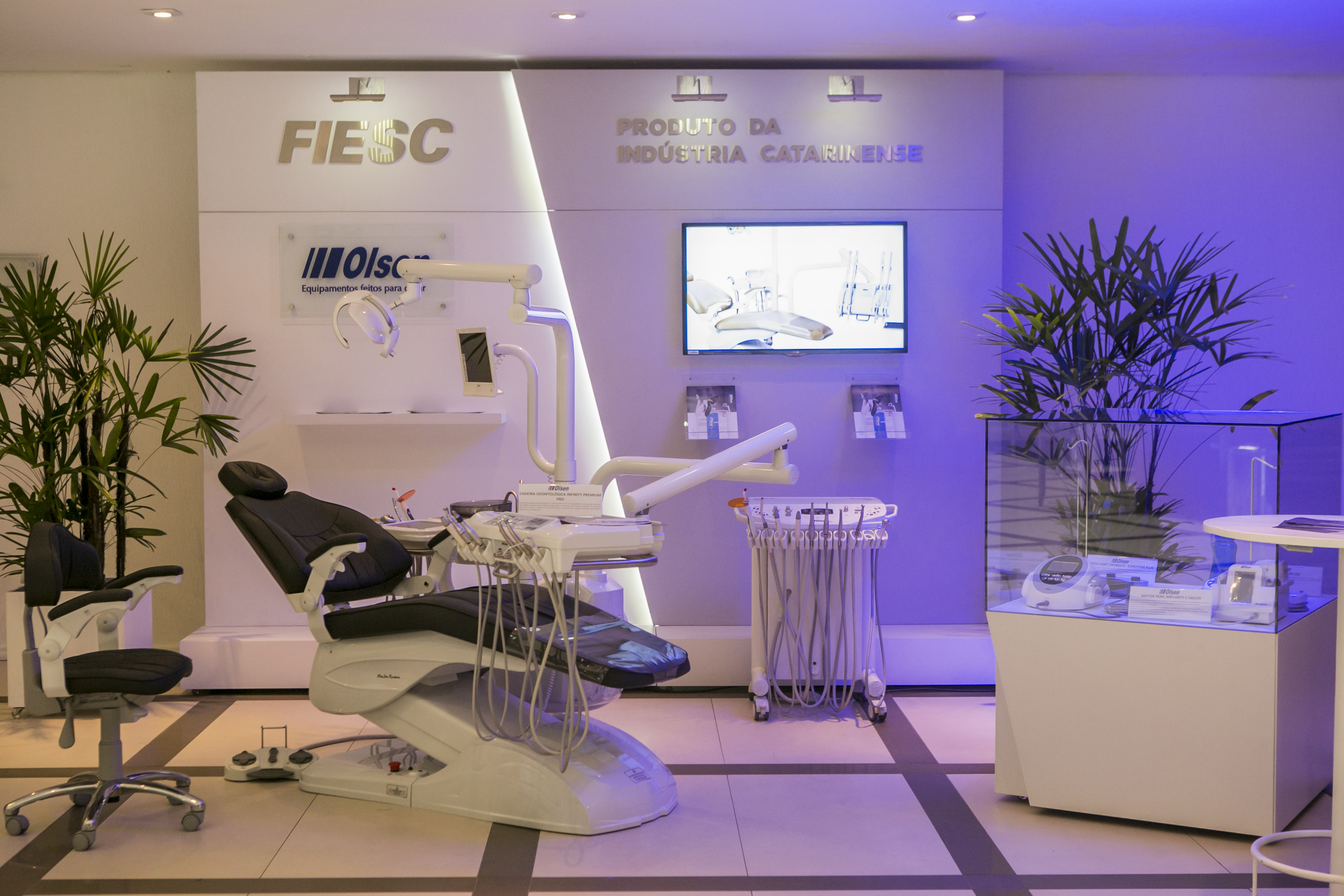 Imagem 3561 no node 5667