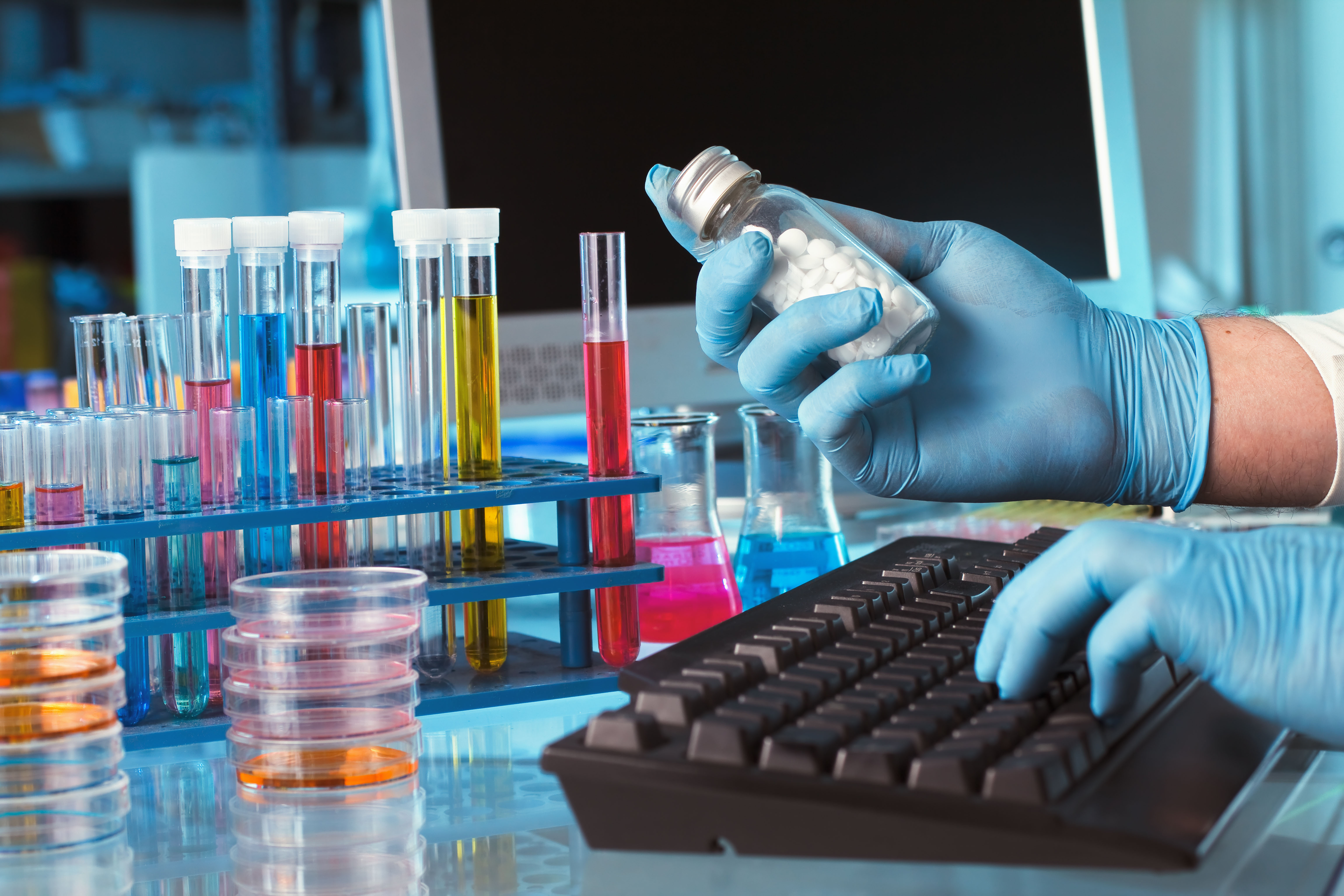 Imagem 2462 no node 4517