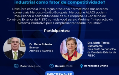 Webinar: Complementariedade industrial