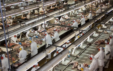 Setor alimentício liderou crescimento na produção industrial