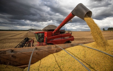 Atividade econômica catarinense recua 3,5% em maio