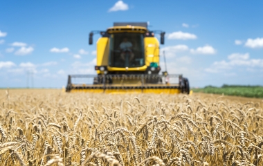 Produção de grãos chegará a 390 milhões de toneladas em 10 anos