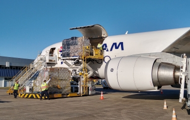 Movimentação de cargas cresce nos aeroportos catarinenses