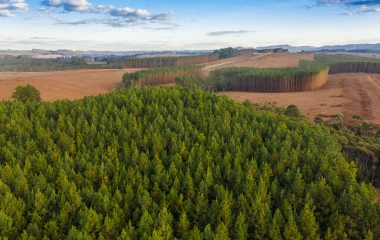 FIESC defende valorização do Código Florestal