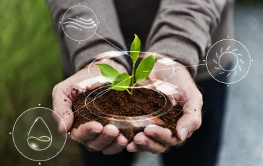 Participação do setor produtivo é essencial na regulamentação do mercado de carbono