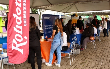Empresas divulgam mais de 300 vagas no Feirão do Emprego