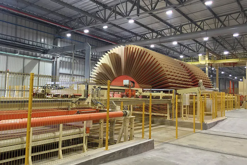 Terreno fértil para a madeira