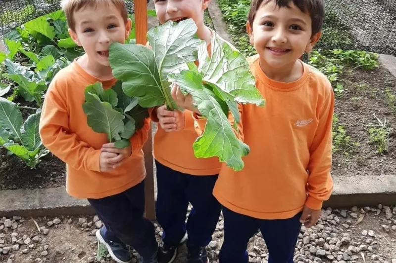 Crianças participaram de todas as etapas da horta. Foto: Divulgação/SESI