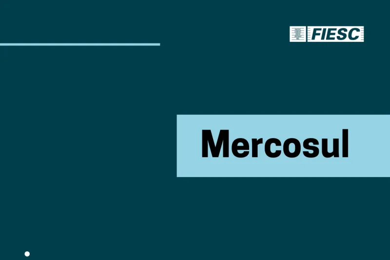 Confira as novidades