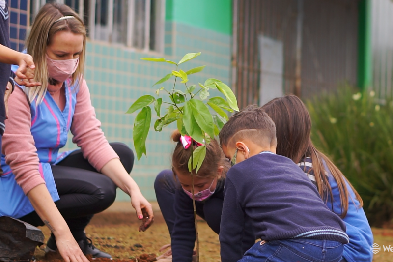WestRock abre inscrições do programa “Juntos pela Educação” a professores da rede pública 