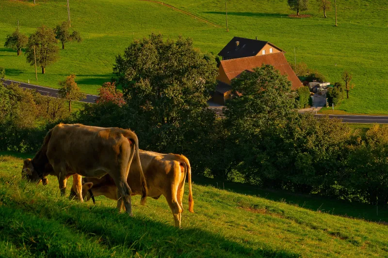 Nova estrutura na Secretaria de Meio Ambiente vai agilizar Cadastro Rural, diz FIESC