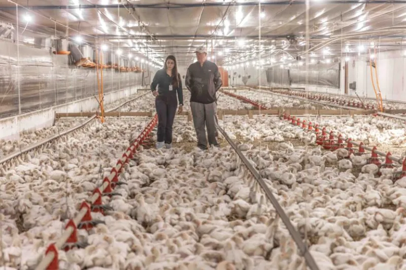 Deputados estaduais avaliam projeto para impulsionar cooperativas e agroindústrias