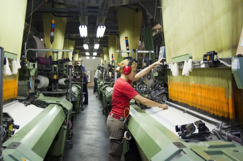 Setor exportou cerca de US$ 288,6 milhões em 2024. (Plínio Bordin)