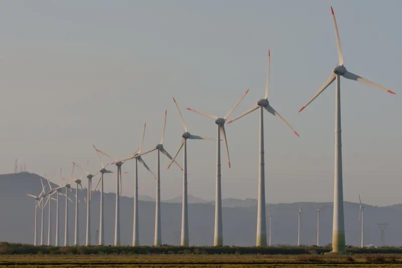 Foto: Claudio Fachel/Palácio Piratini